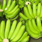 Chuối sấy dẻo Banaco