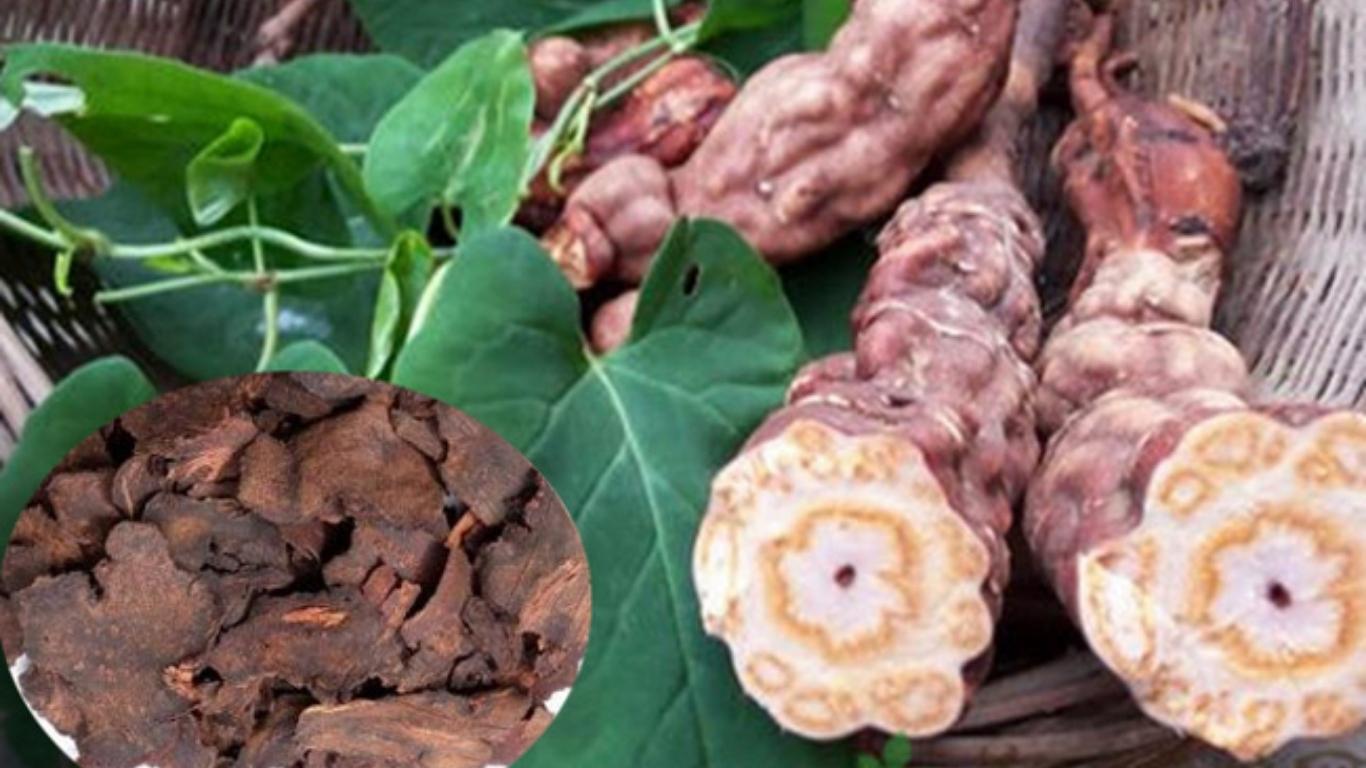 Top 10 loại rượu thảo mộc giúp cải thiện sức khỏe, ngủ ngon